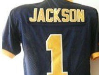 DeSean Jackson California Golden Bears College Jersey