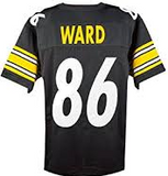 Hines Ward Pittsburgh Steelers Football Jersey