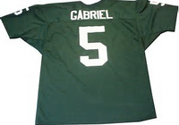 Roman Gabriel Philadelphia Eagles Football Jersey