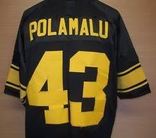 Troy Polamalu Pittsburgh Steelers Throwback Football Jersey